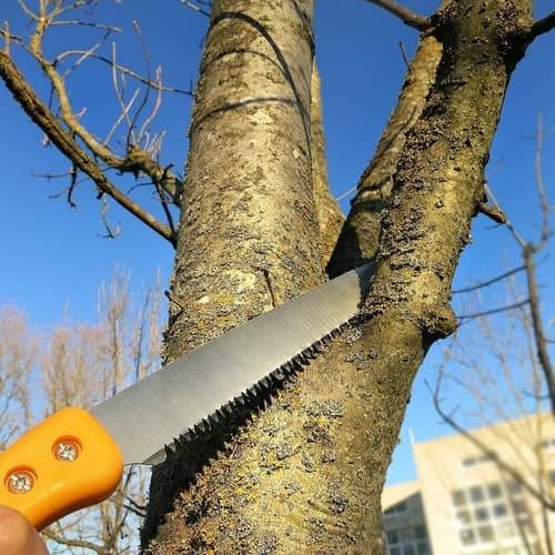Best Pruning Saw UK Reviews Tool Advice